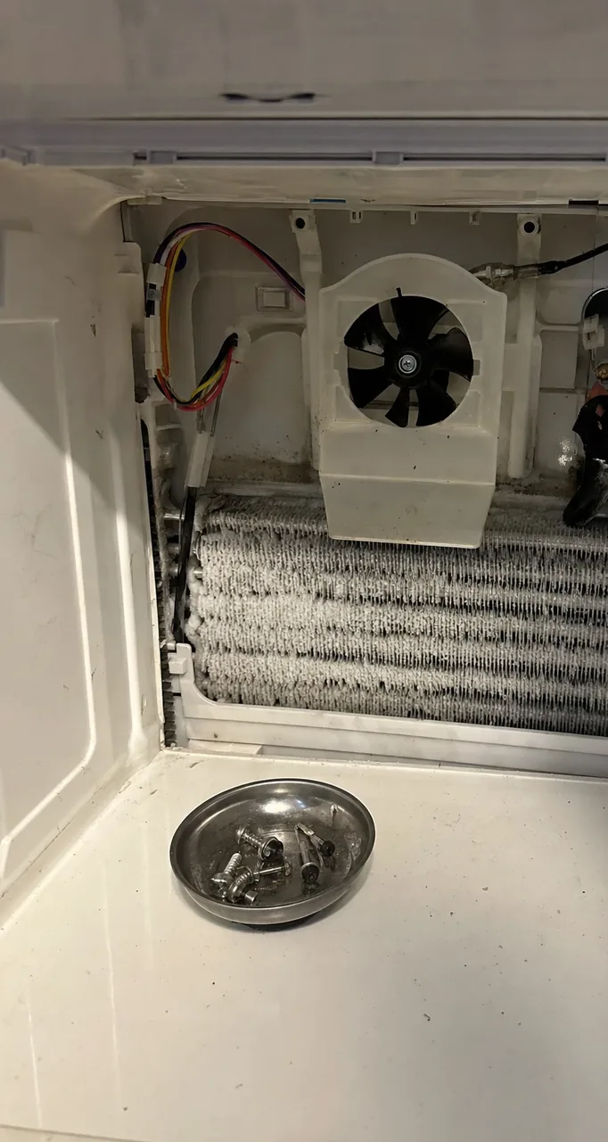 An evaporator coil packed with white frost behind a removed rear panel, the round fan shroud sitting above it and a small magnetic tray of screws on the cabinet floor.